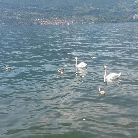 Appartamento Vista Lago - Betta レッツェノ エクステリア 写真