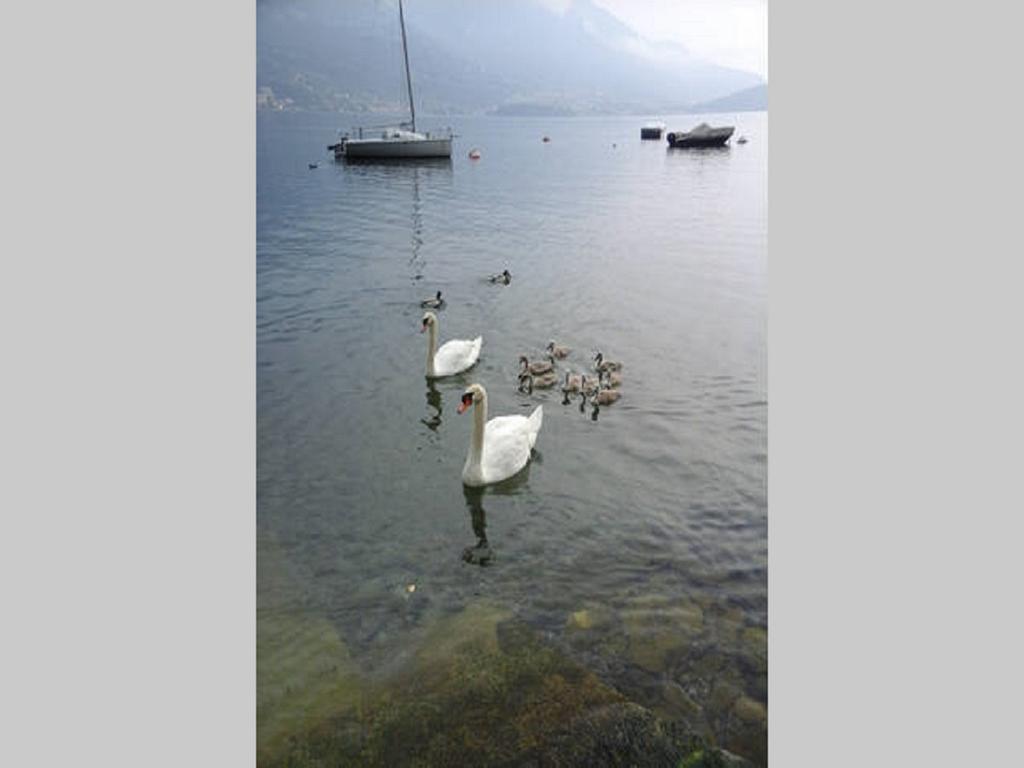 Appartamento Vista Lago - Betta レッツェノ エクステリア 写真